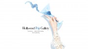 Hollywood Pop Gallery