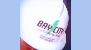 Bay City Electric Works