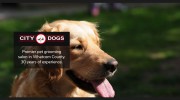High Tone Pet Spa