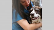 Stevenson Village Veterinary Hospital