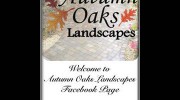 Autumn Oaks