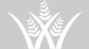 Wildflower Orthodontics