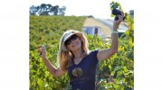 SLO 2 20 Winery & Vineyard