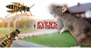 Even's Pest Control