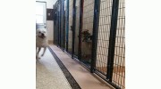 Top Dog Kennels