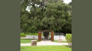 Circle Oak Ranch Weddings