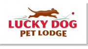 Lucky Dog Pet Lodge