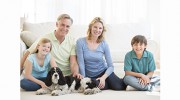 Denis A Miller Insurance Agency