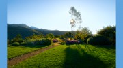 Ojai Herbs & Acupuncture
