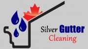 Silver Gutter Cleaning