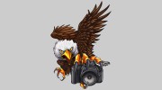 Eagle 1 Photography