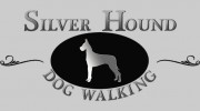 Silver Hound Dog Walking & Cat Sitting