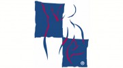 Individual Physical Therapy Solutions