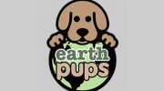 Earth Pups
