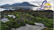 RE/MAX Of Ketchikan