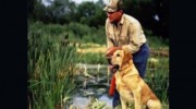 Thunder Ridge Kennels