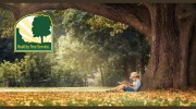 Healthy Tree Service