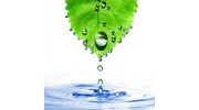 Chrysler Carpet Cleaning