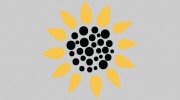 Sunflower Cleaning Group