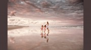 Pam Bell Photography
