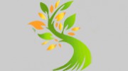 1st Choice Lawn Care