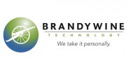 Brandywine Technology