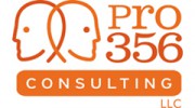 Pro356 Consulting