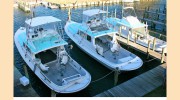 Albatross Fleet