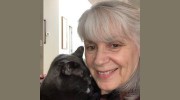 Comforts At Home Pet Sitting