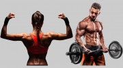 1 Life Fitness