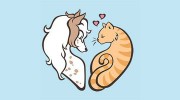 Savvy Mobile Grooming