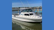 Free Spirit Ii Charters