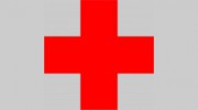House Doctor Painting