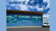 Shades Window Tinting