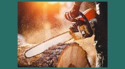 Carbaugh Tree Service