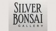 Silver Bonsai Gallery