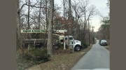 Allen & Sons Tree Service