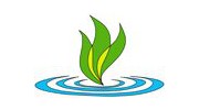 Greenfield Synthetic Grass