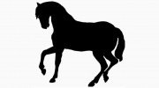 Florida Everglades Equestrian Center