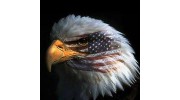 1st Choice Bail Bonds