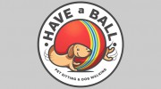 Have A Ball Pet Sitting & Dog Walking