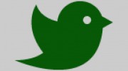 Three Little Birds