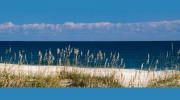 Stephanie Walker & Associates