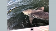 Russell's Coastal Fishing