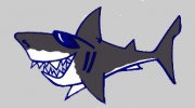 Great White Shark