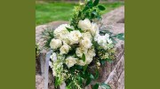 Westport Floral Designs