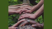 Chicago Mindful Psychotherapy