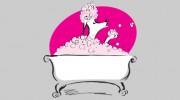 Shaggy Chic Grooming Boutique