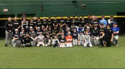 The Baseball Warehouse
