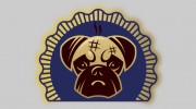 Dirty Dawg Mobile Grooming